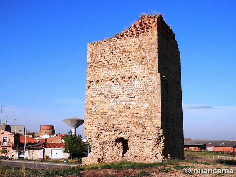 Muralla urbana de Villalpando