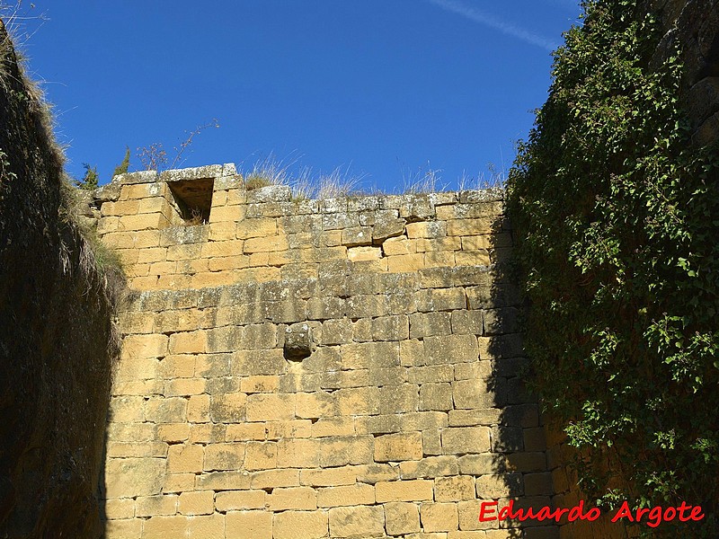 Castillo de Villaverde