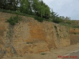 Muralla urbana de Sos del Rey Católico