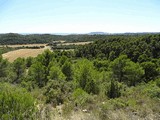 Torre de Valpalmas