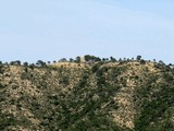 Torre de Castellet de Faió