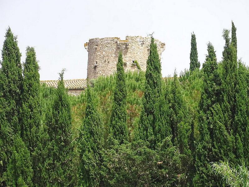 Imagen de Torre de Mas Feliu