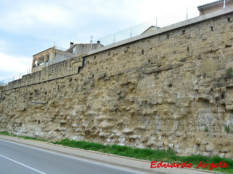 Imagen de Muralla urbana de Huesca
