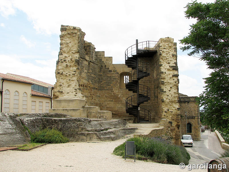 Imagen de Castillo de Briones