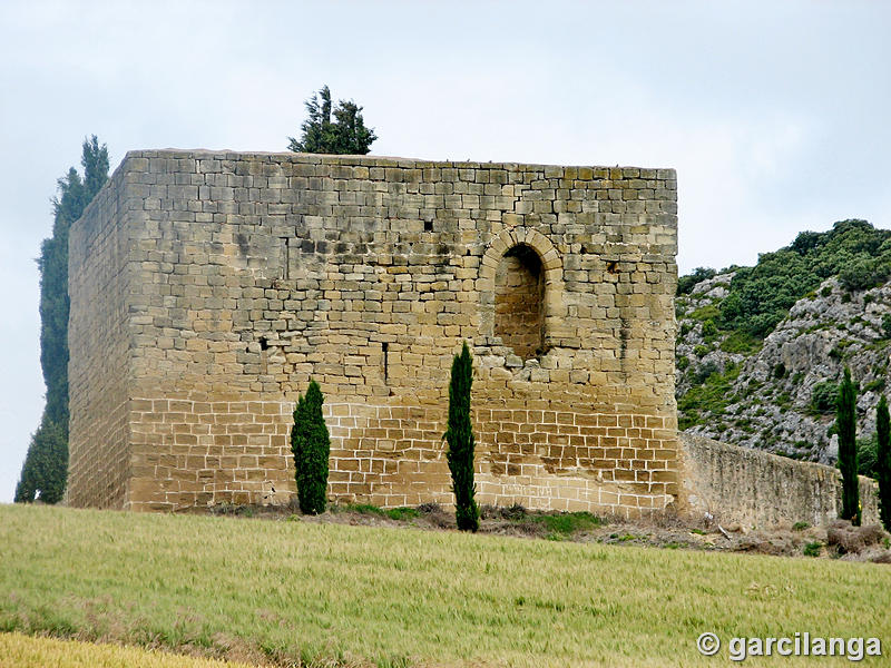 Imagen de Torre Mocha