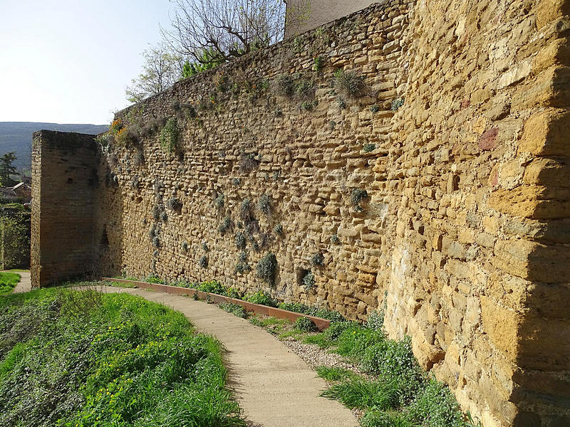 Imagen de Muralla urbana de Àger