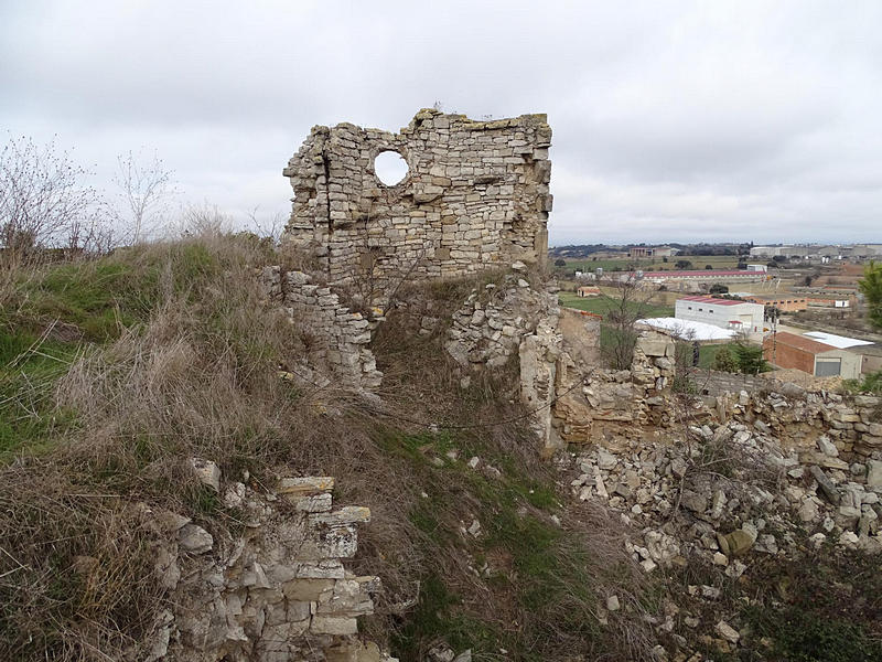 Imagen de Castillo de la Manresana