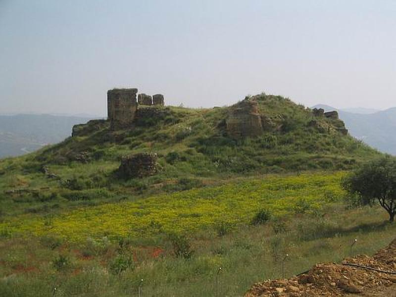 Imagen de Castillo de Zalia