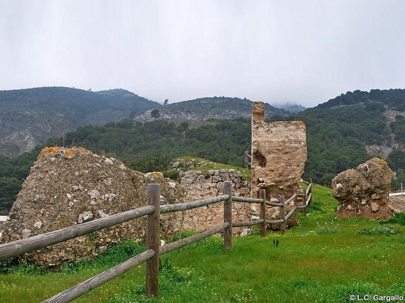 Imagen de Castillo de Casarabonela