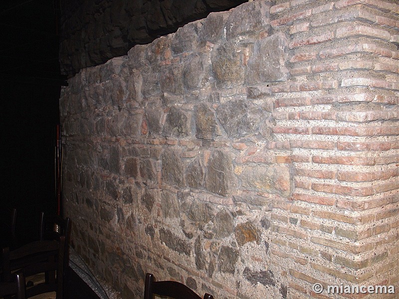 Imagen de Muralla árabe de Málaga