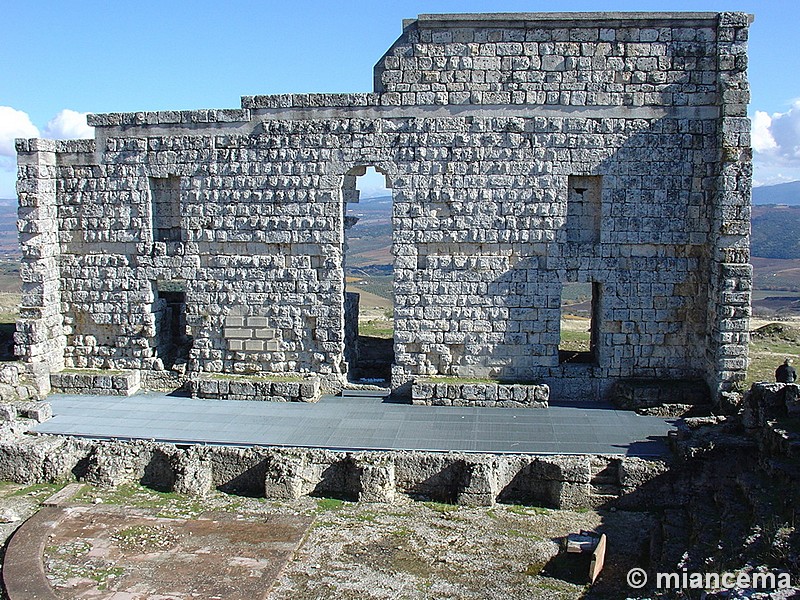 Imagen de Acinipo
