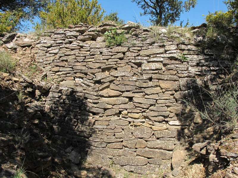 Imagen de Castillo de Pintano