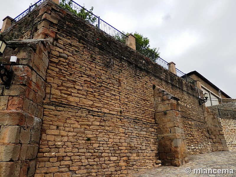 Imagen de Muralla urbana de Pintano